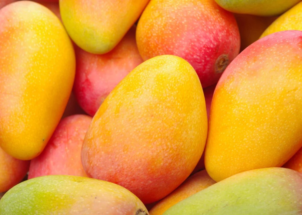 Golden Kesar Mango